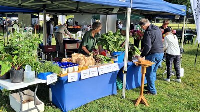 Community Stall Local vegetables and plants