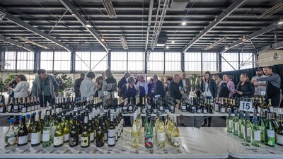 Bottles on table for tasting