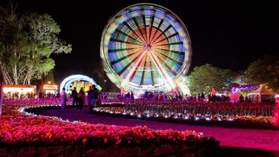 Floriade NightFest