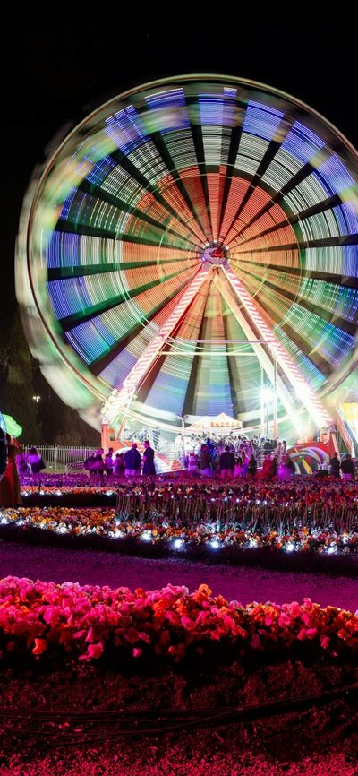 Night festival with a lit Ferris wheel, colourful flower beds and crowds under bright lights.