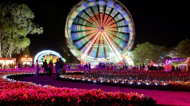 Night festival with a lit Ferris wheel, colourful flower beds and crowds under bright lights.