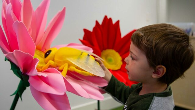 A child explores flowers at Science Time: Spring
