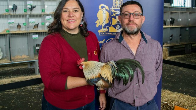 Royal Canberra Poultry Show Winners of the Royal Canberra Poultry Show