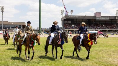 three award-winning horses at the Royal Canberra Show