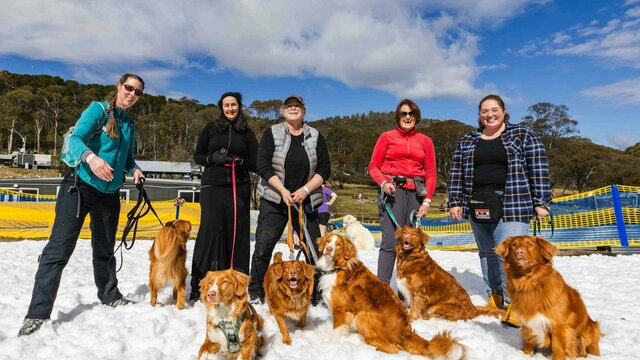 A group of people and dogs standing in snow, looking at the camera and smiling