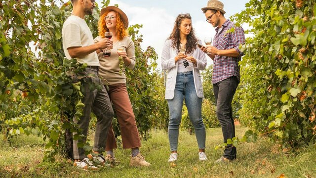 Stomp Wine Festival Canberra People drinking wine in vineyard