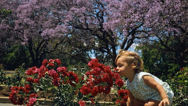Photograph of a child bending down to smell flowers