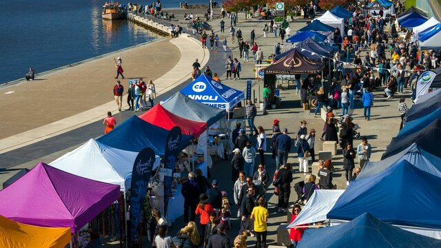 Market Day A day at the markets - stalls and people
