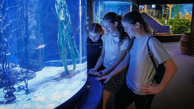 Aquarium Aquarium
