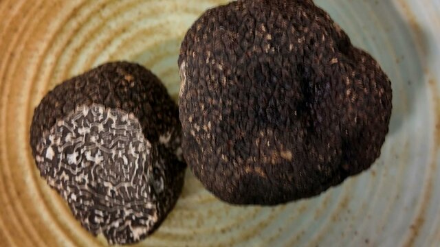 Truffle Truffle