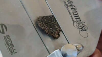A truffle slicer