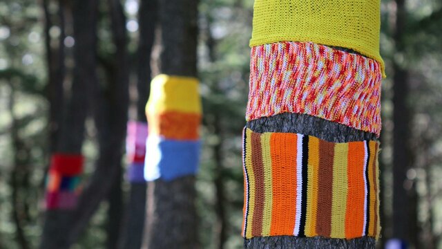 Warm Trees 1