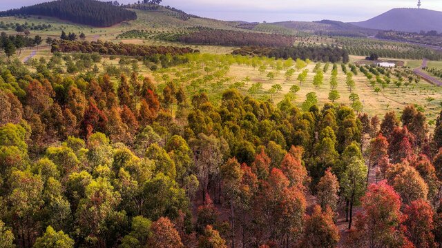 A landscape with forests and mountains in the distance.