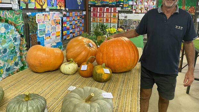 Yass Show pumpkins