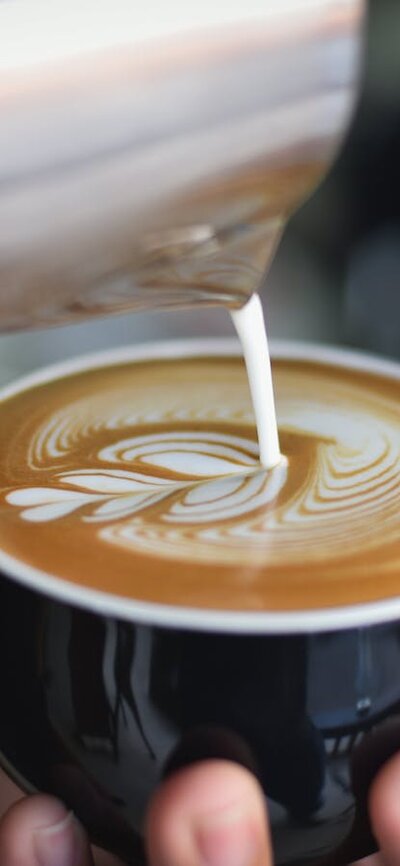 Amazing coffee 4th Seed Cafe