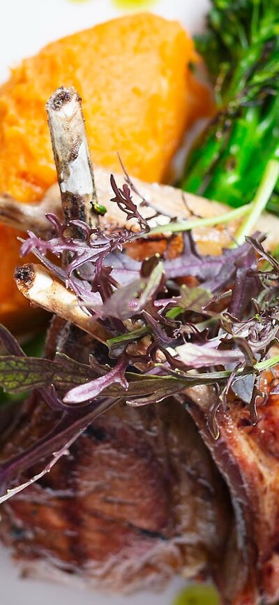 A colourful plate of meat and veggies on a white plate.