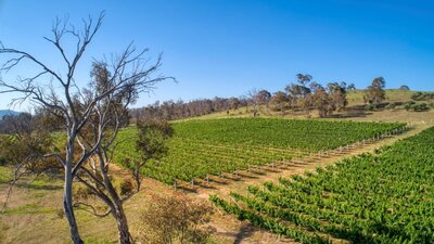 Barton Estate Winery