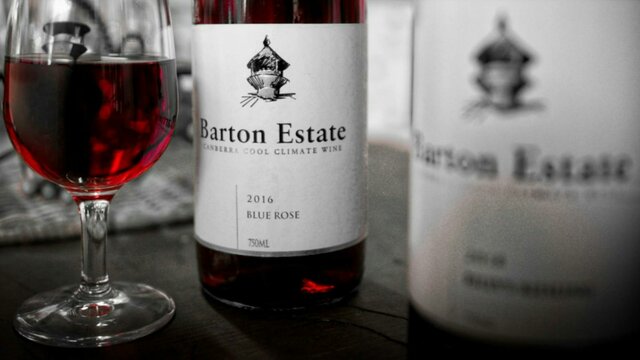 Wine Wine
