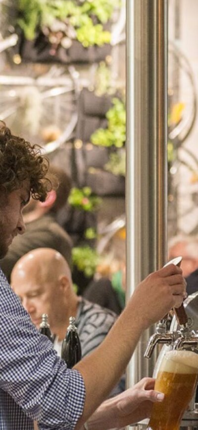 Barman pouring a tap beer