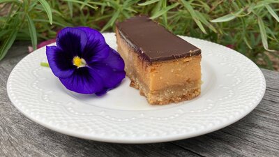 Caramel Slice