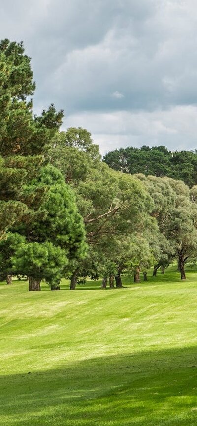 Braidwood Servicemens Club