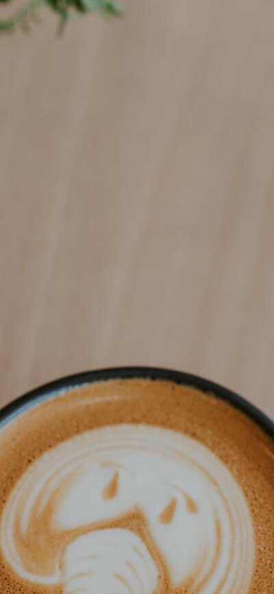 Elephant latte art