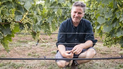 Collector Wines winemaker Alex McKay kneels in the vineyard.