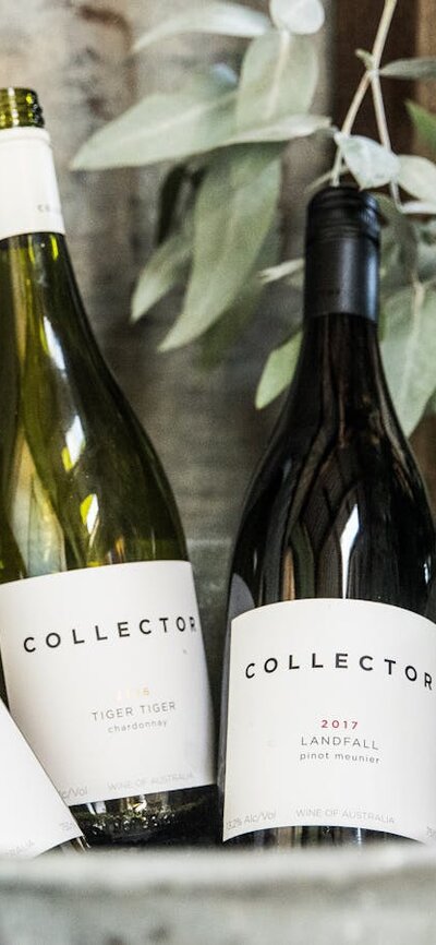 Three bottles of wine chill in a rustic bucket against a corrugated iron wall.