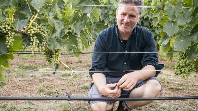 Collector Wines winemaker Alex McKay has won numerous awards Collector Wines winemaker Alex McKay kneels in the vineyard.