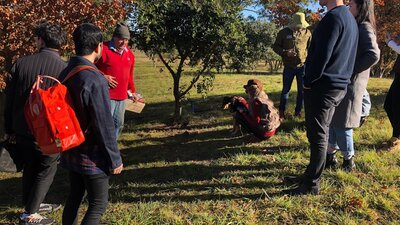 In the truffle orchard