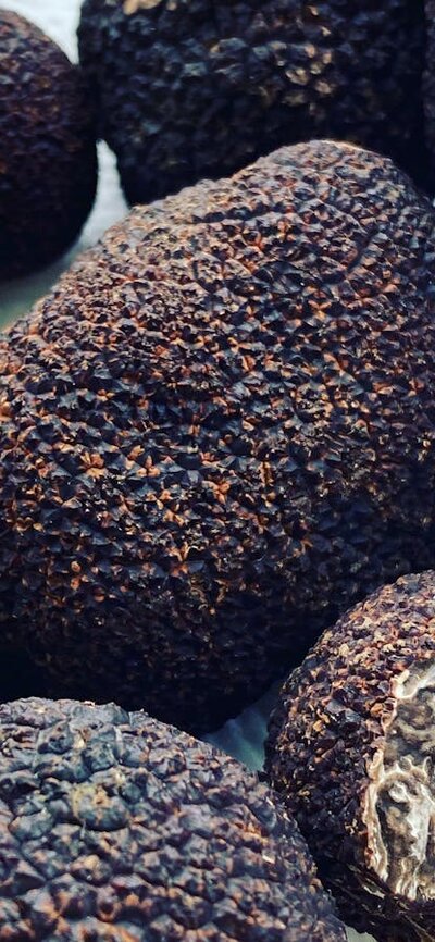 Biodynamic Organic Elvesgate Truffle Biodynamic Organic Elvesgate Truffle