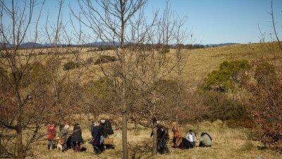 People hunting for truffle