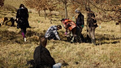 People hunting for truffle