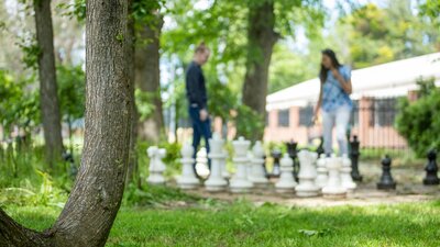 Giant chess at The Flock