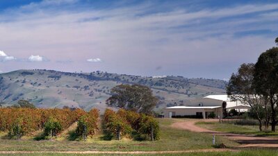 View across Gallagher Wines vines to distant hills