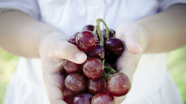 Granitevale Winery Granitevale Winery