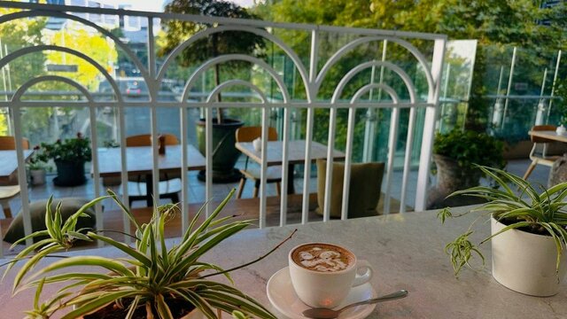 GreenHouse Coffee and Co GreenHouse Coffee and Co