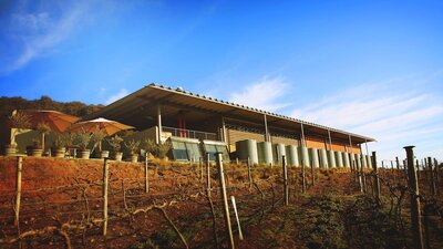 Lerida Estate building with vineyard in the foreground