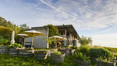 looking up to the courtyard and cellar door from the herb garden