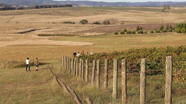 Mallaluka Wines Mallaluka Wines