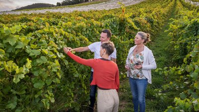 Fergus and customers in vineyard