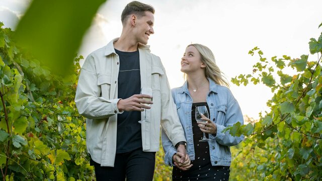 Vineyard Walk Vines walk at Mount Majura