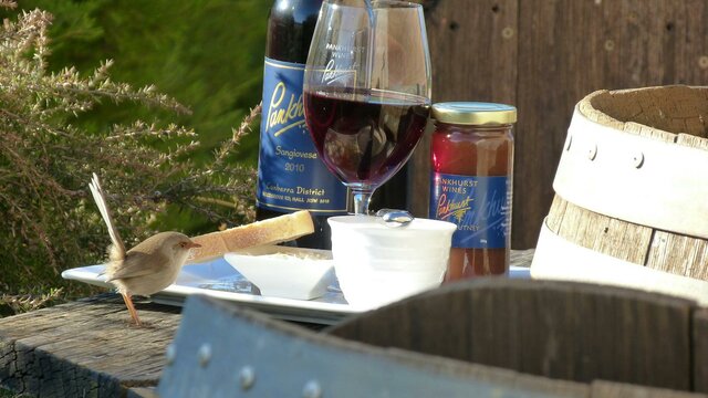 Relax with a cheese platter at Pankhurst Wines Cheese platter and a bottle of Sangiovese at Pankhurst Wines