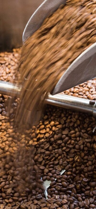 Coffee beans in a large grinder