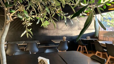 View through the real feature olive tree in our new dining room.