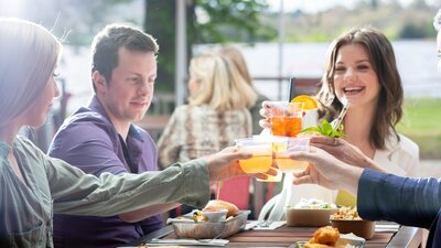 Group of adults clinking glasses at a lunch setting