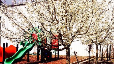 Playground in Spring