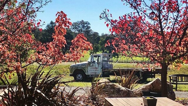 Autumn colours from the Cellar Door courtyard Autumn at Tallagandra Hill