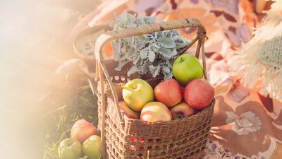 A basket of local Batlow apples which are used for our cider and apple pies.