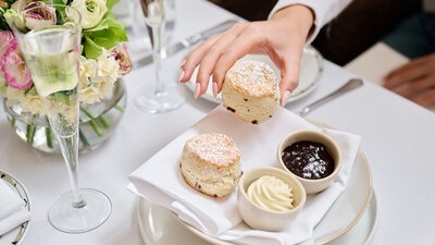 Scones at The Tea Lounge